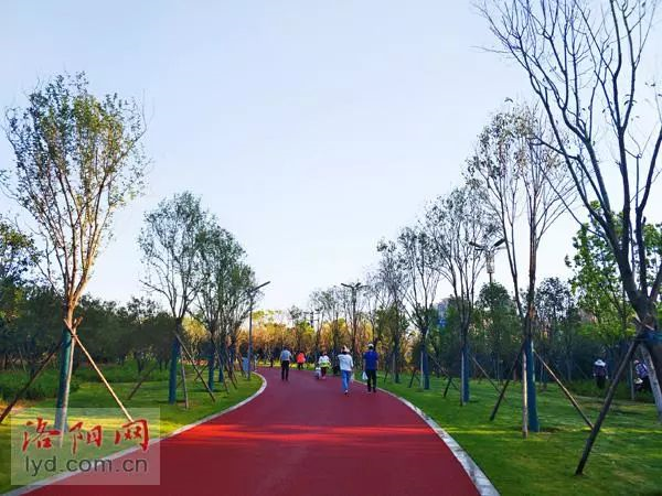 体育公园步道