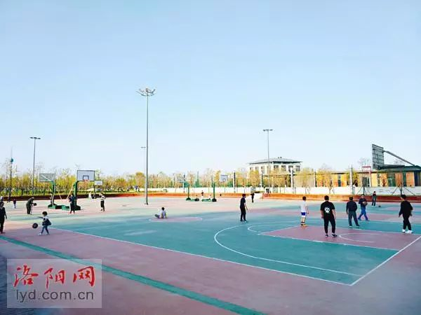 体育公园篮球场