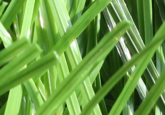 人造草坪,羽毛球场人造草皮,假草坪清理