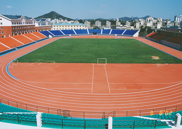 <a href=https://www.nfty.com.cn target=_blank class=infotextkey>塑胶跑道</a>材料厂家