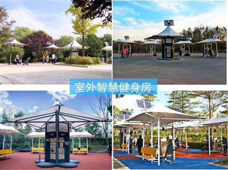 体育总局