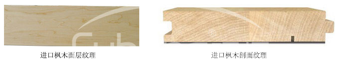 进口枫木运动地板产品细节
