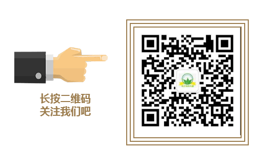QQ截图20180116102222.png