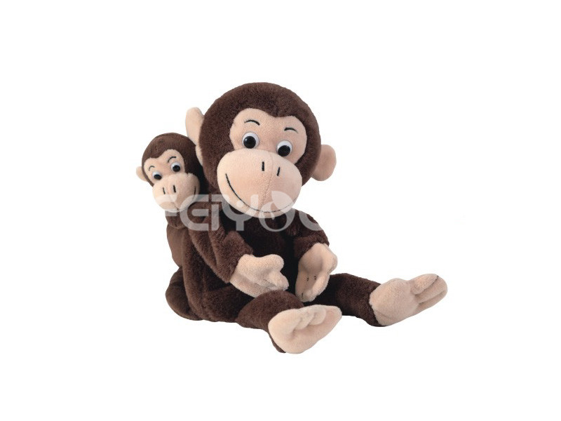 猴子妈妈和宝宝-005