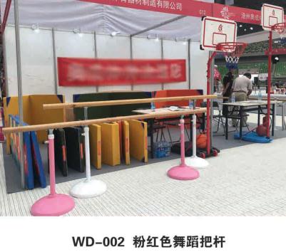 粉红色舞蹈把杆