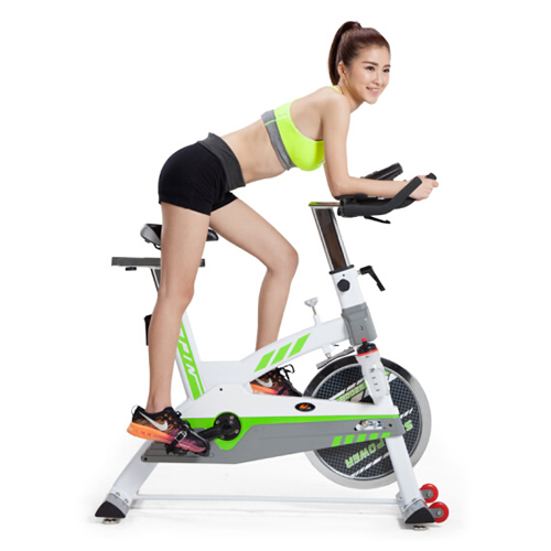 仕健SP92008家用动感单车图2
