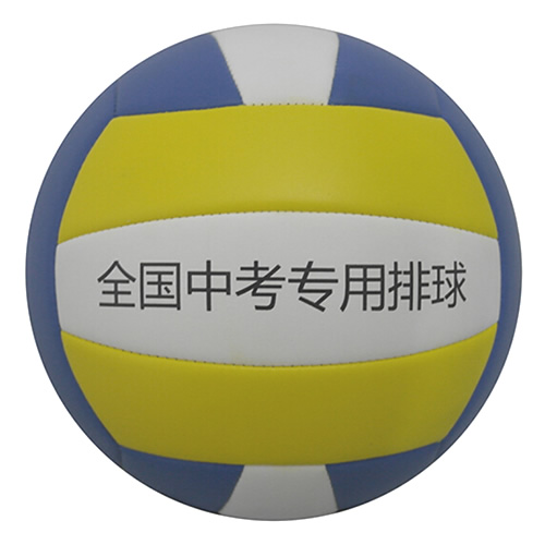 艾瑞斯ARS-560标准5号排球图2