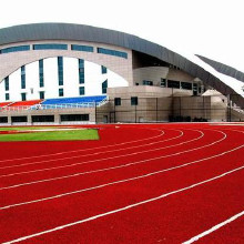 利达厂家供应、混合型塑胶跑道施工、复合型塑胶跑道材料厂家