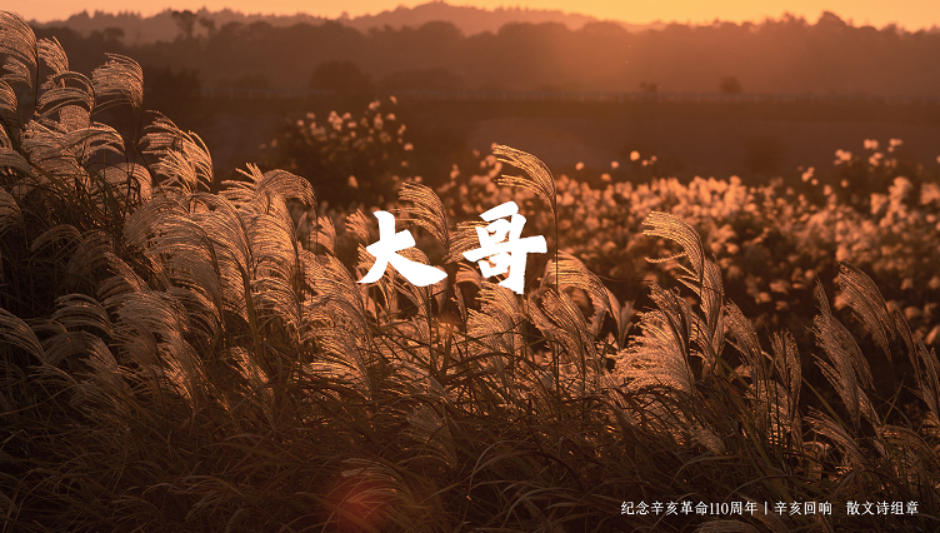 文档11742.png