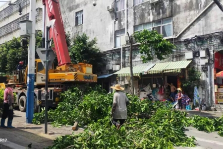 西区街道：开展全路域环境整治，助力文明城市创建