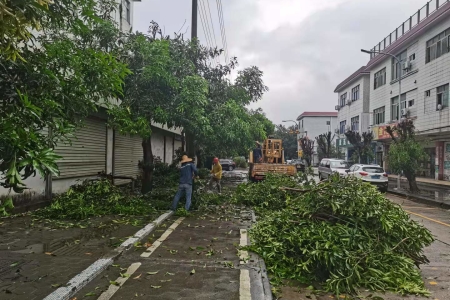渔船靠岸，工地停工！防御台风“圆规”，南区街道这样做