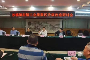 借鉴经验、干在实处！中山沙溪全力推动村镇工业园改造