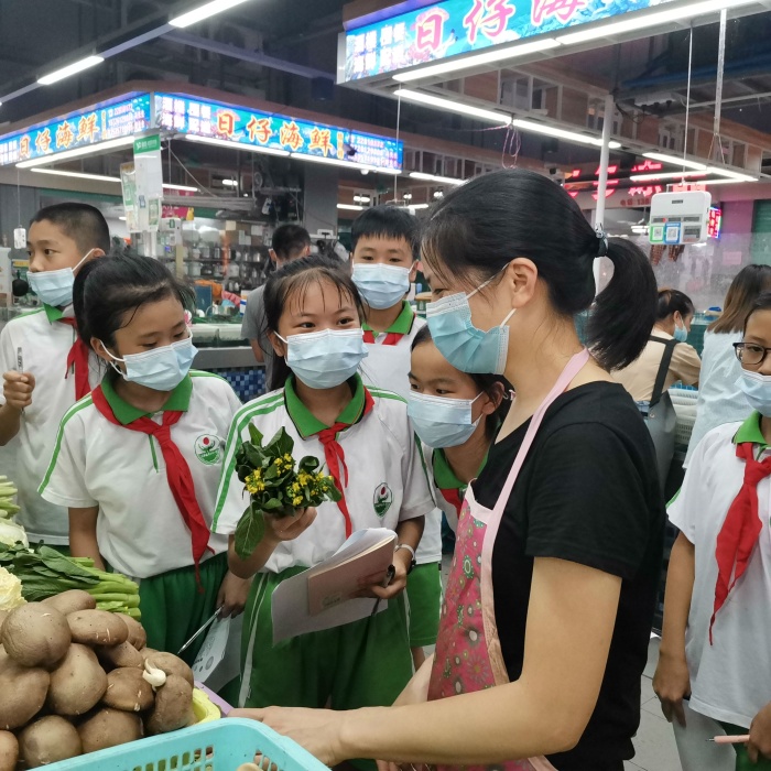 走进市场 认识蔬菜