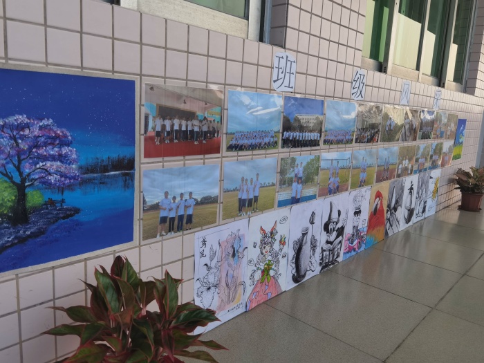 放飞青春梦想，展示特色风采