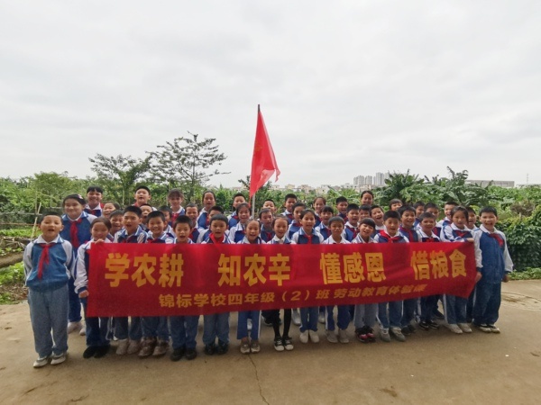 学农耕 知农辛 懂感恩 惜粮食 | 锦标学校开展学生劳动教育体验活动