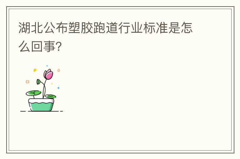 湖北公布塑胶跑道行业标准是怎么回事？