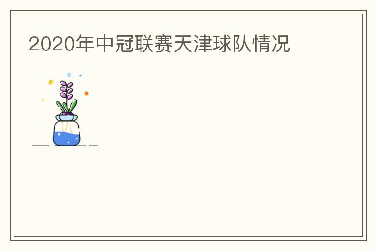 2020年中冠联赛天津球队情况