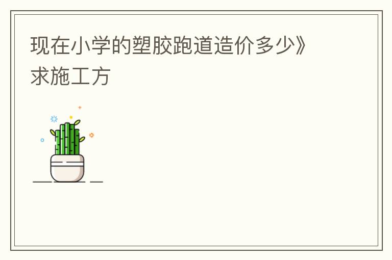 现在小学的塑胶跑道造价多少》求施工方