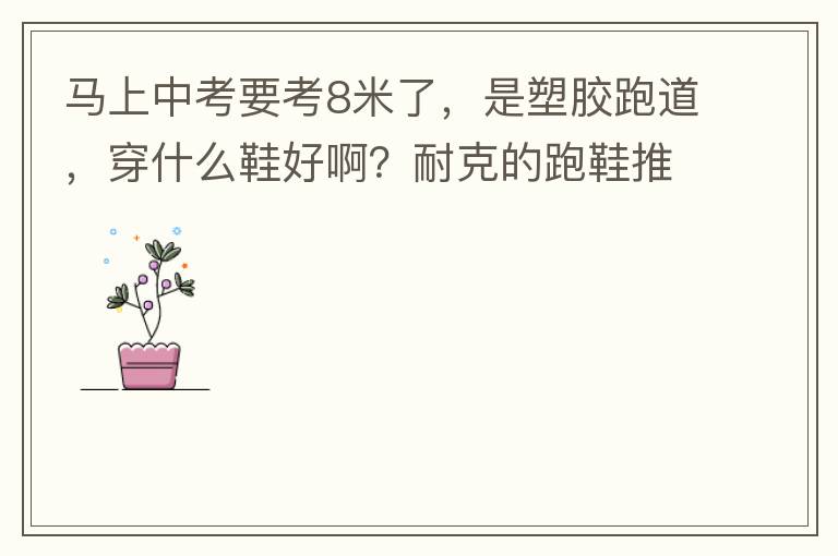 马上中考要考8米了，是塑胶跑道，穿什么鞋好啊？耐克的跑鞋推荐一款