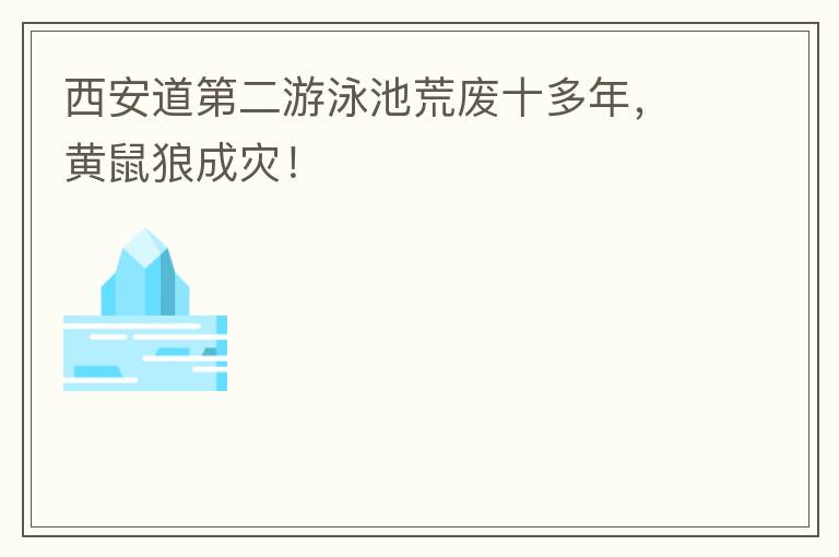 西安道第二游泳池荒废十多年，黄鼠狼成灾！