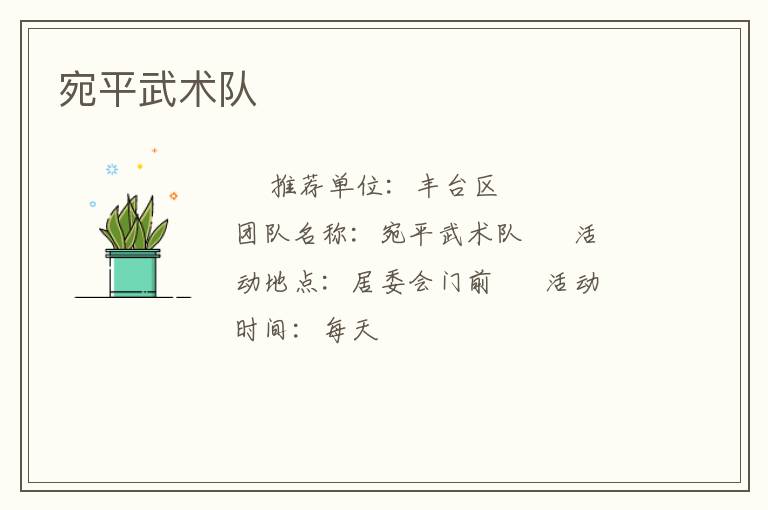 宛平武术队