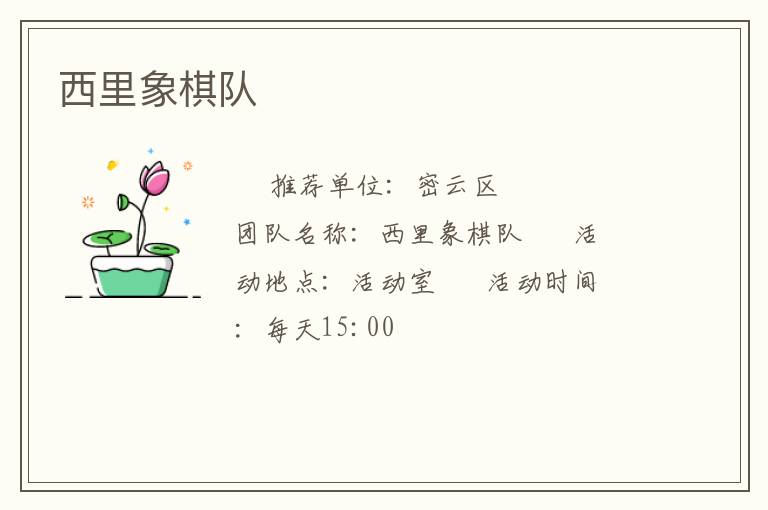 西里象棋队