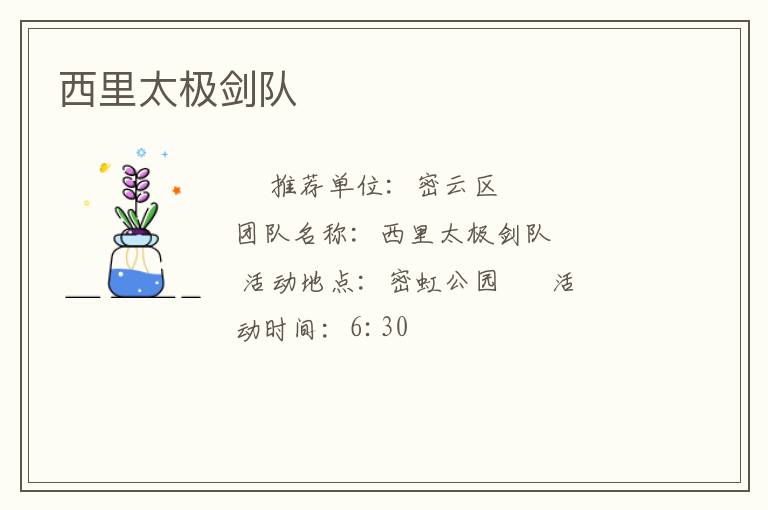 西里太极剑队