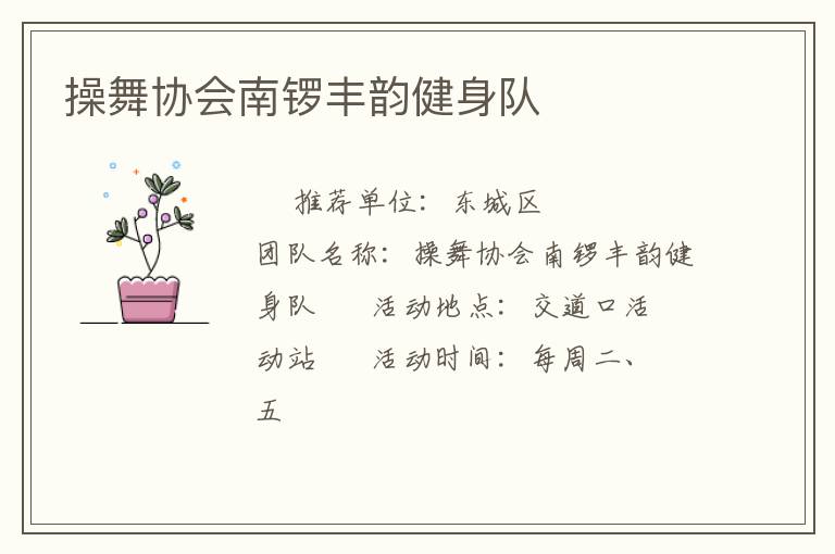 操舞协会南锣丰韵健身队
