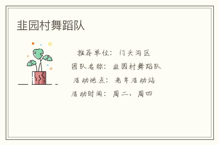 韭园村舞蹈队