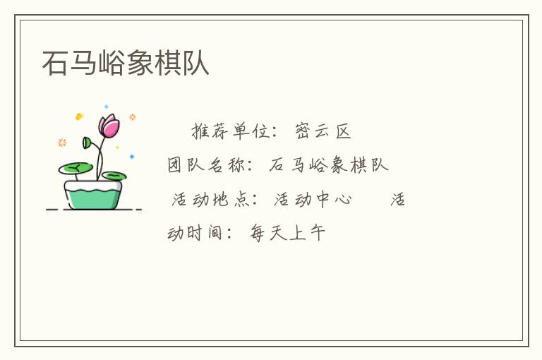 石马峪象棋队