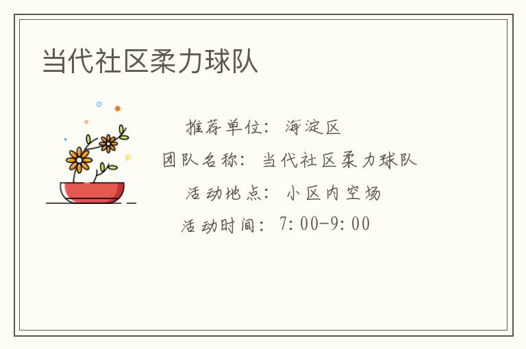 当代社区柔力球队