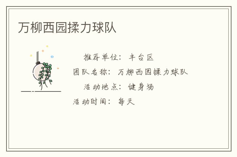 万柳西园揉力球队