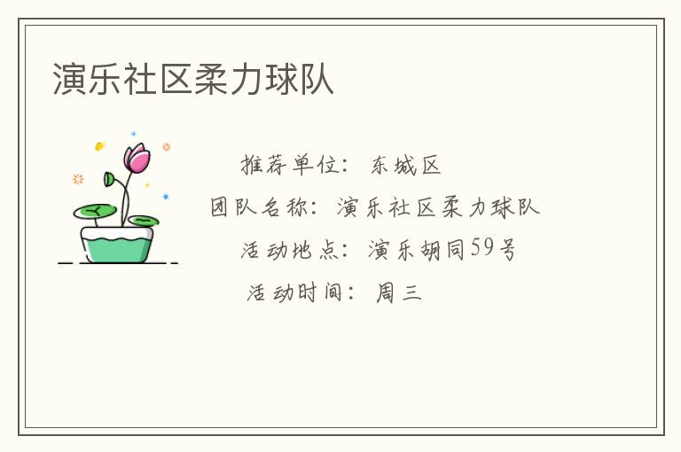 演乐社区柔力球队