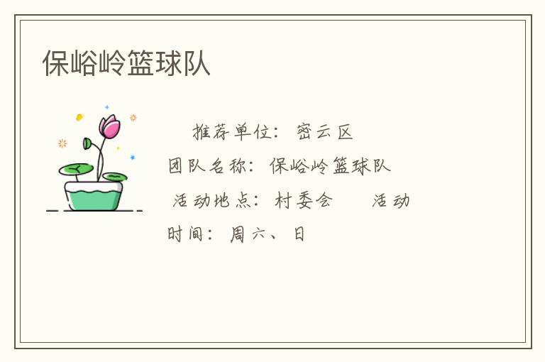 保峪岭篮球队
