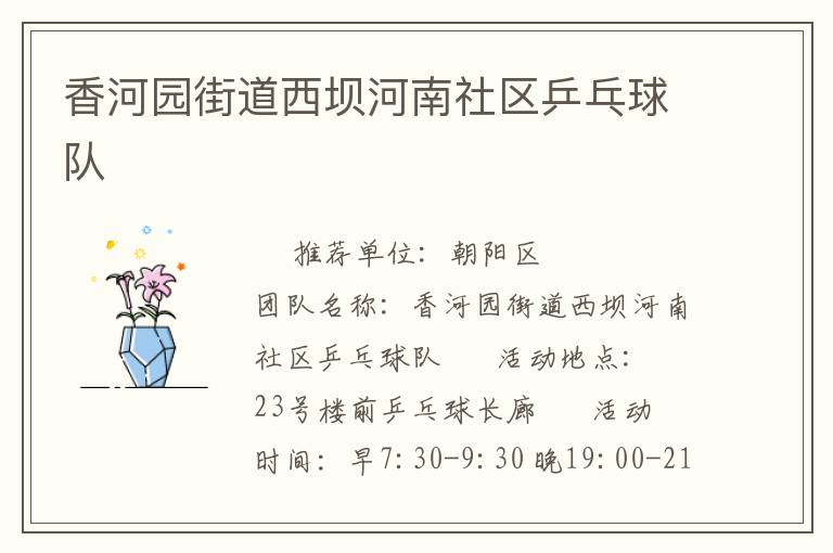 香河园街道西坝河南社区乒乓球队