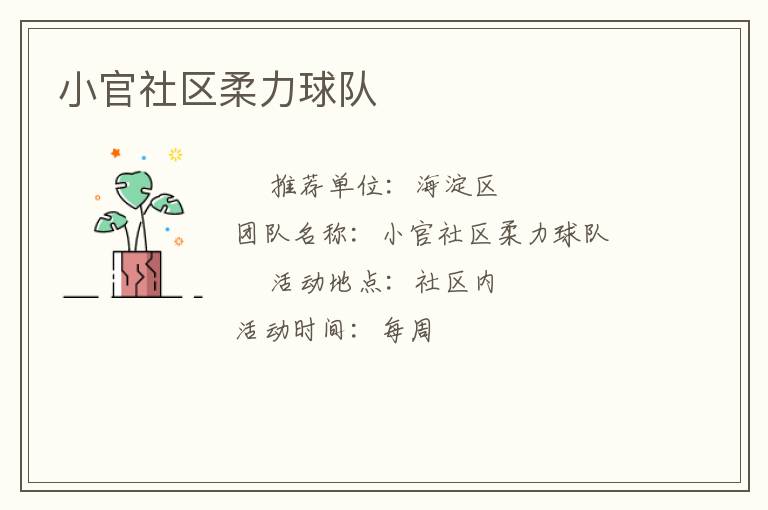 小官社区柔力球队