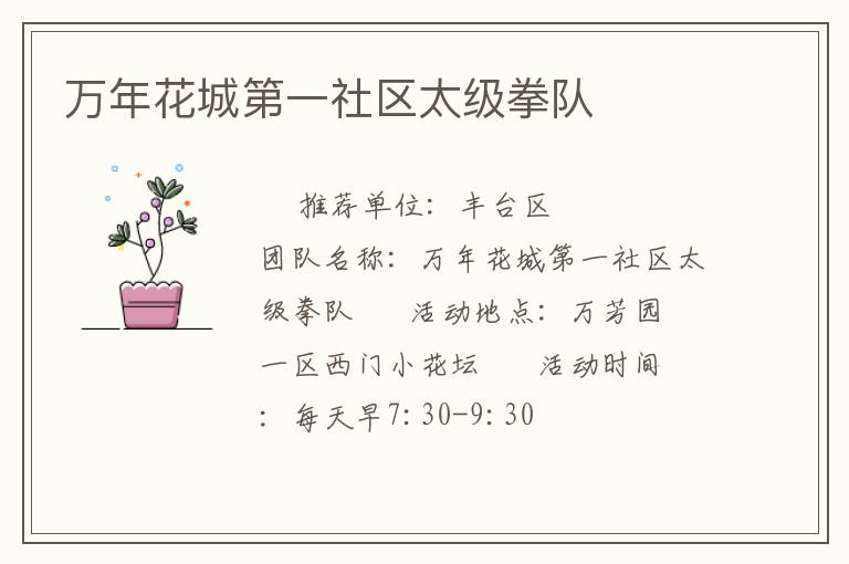 万年花城第一社区太级拳队
