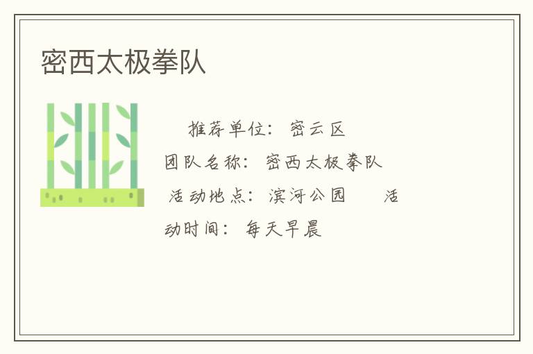密西太极拳队
