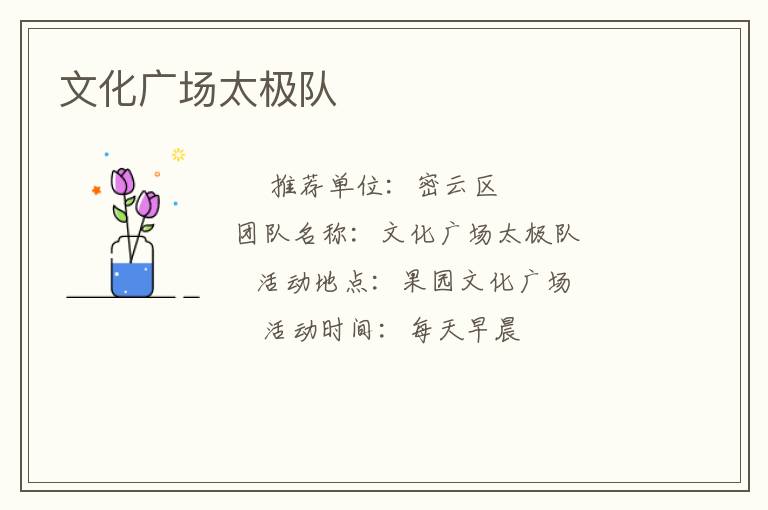 文化广场太极队