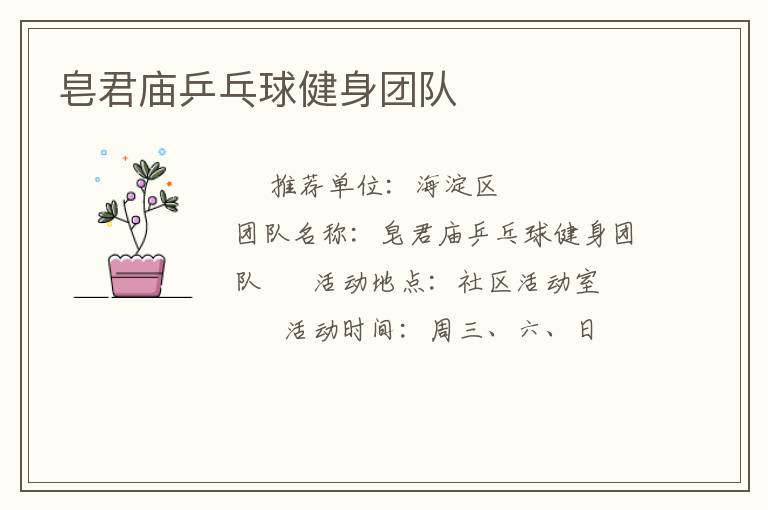皂君庙乒乓球健身团队