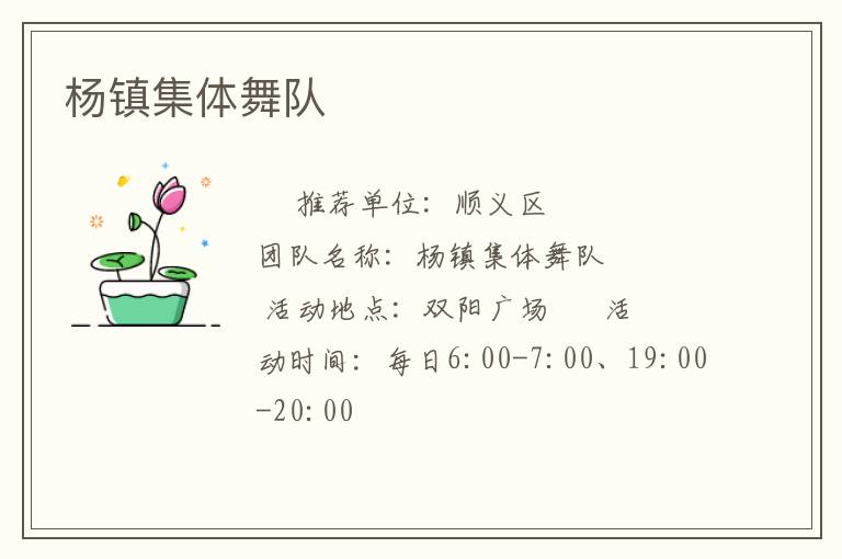 杨镇集体舞队