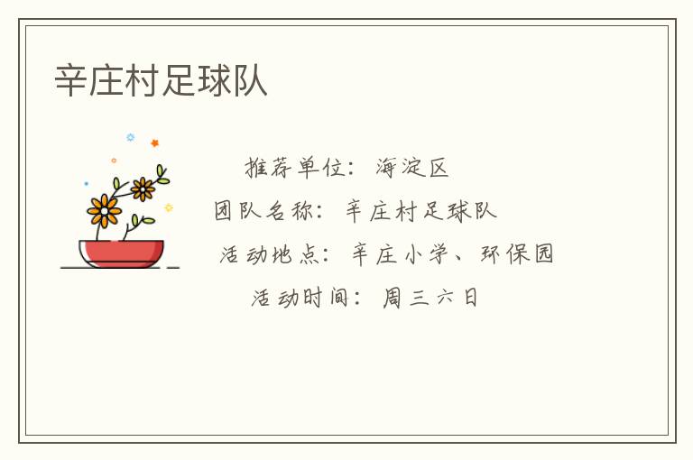辛庄村足球队