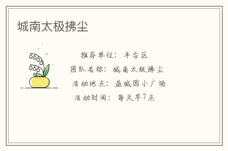城南太极拂尘