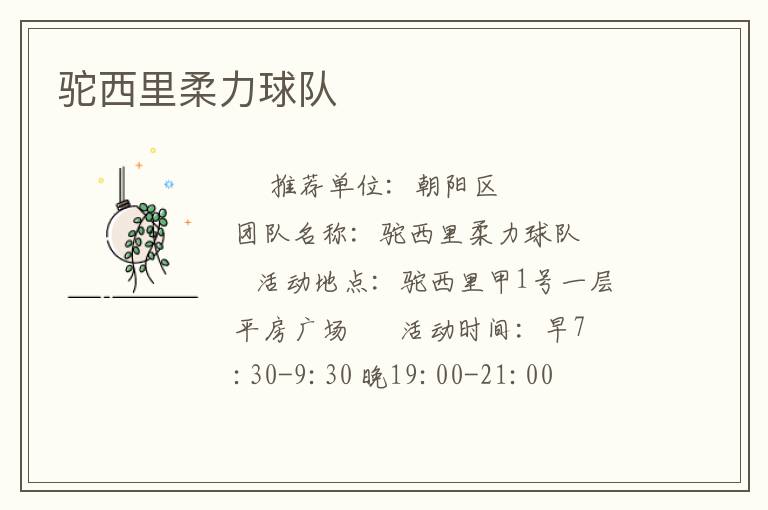 驼西里柔力球队