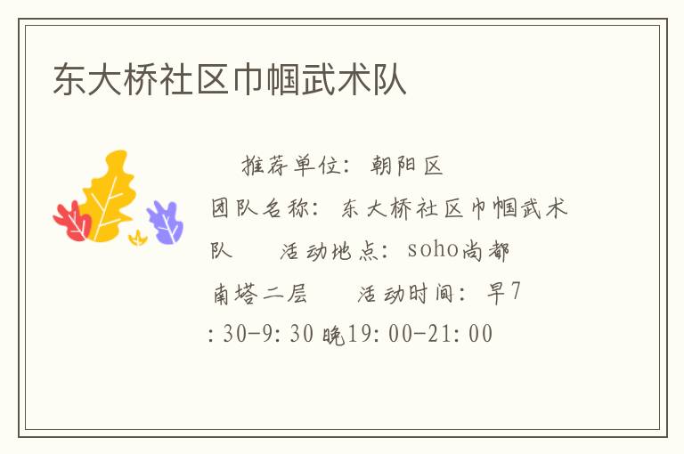 东大桥社区巾帼武术队