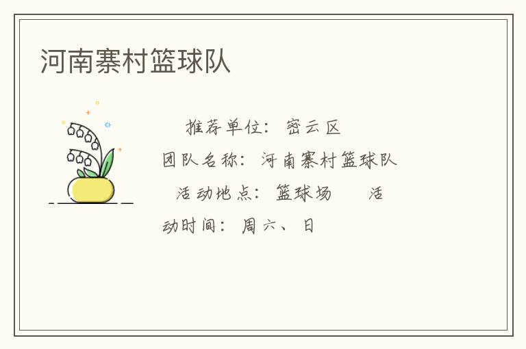 河南寨村篮球队