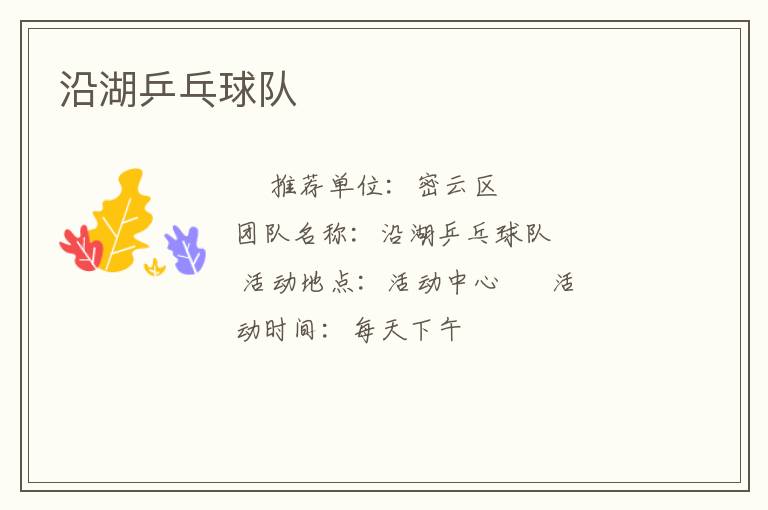 沿湖乒乓球队