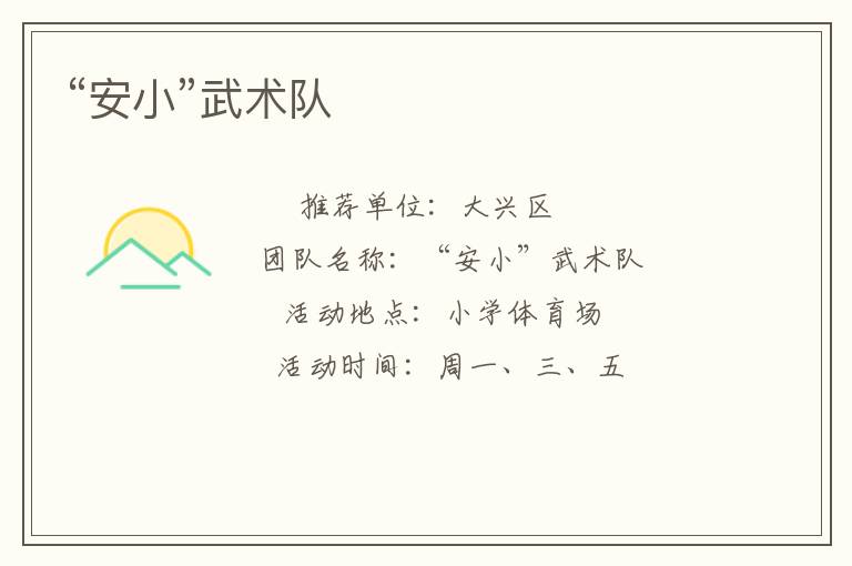 “安小”武术队