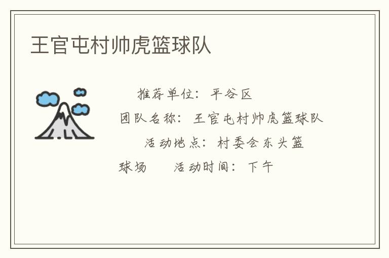 王官屯村帅虎篮球队