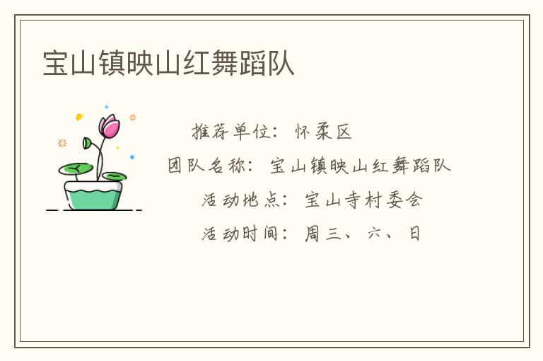 宝山镇映山红舞蹈队